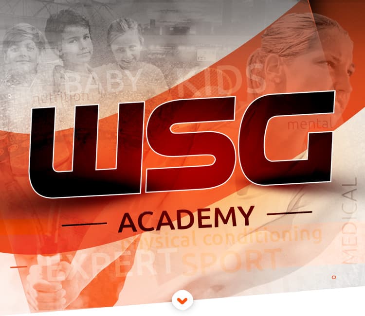 WSG Akademia