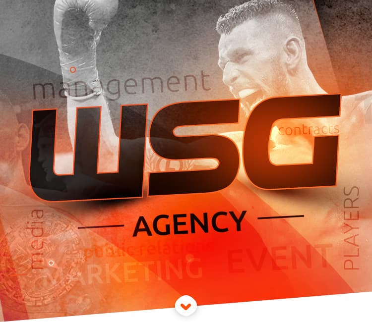 WSG Agencja