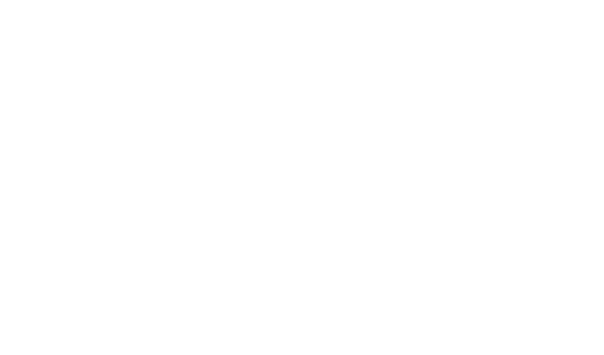 logo Warsaw Boxing Night logo Warsaw Boxing Night